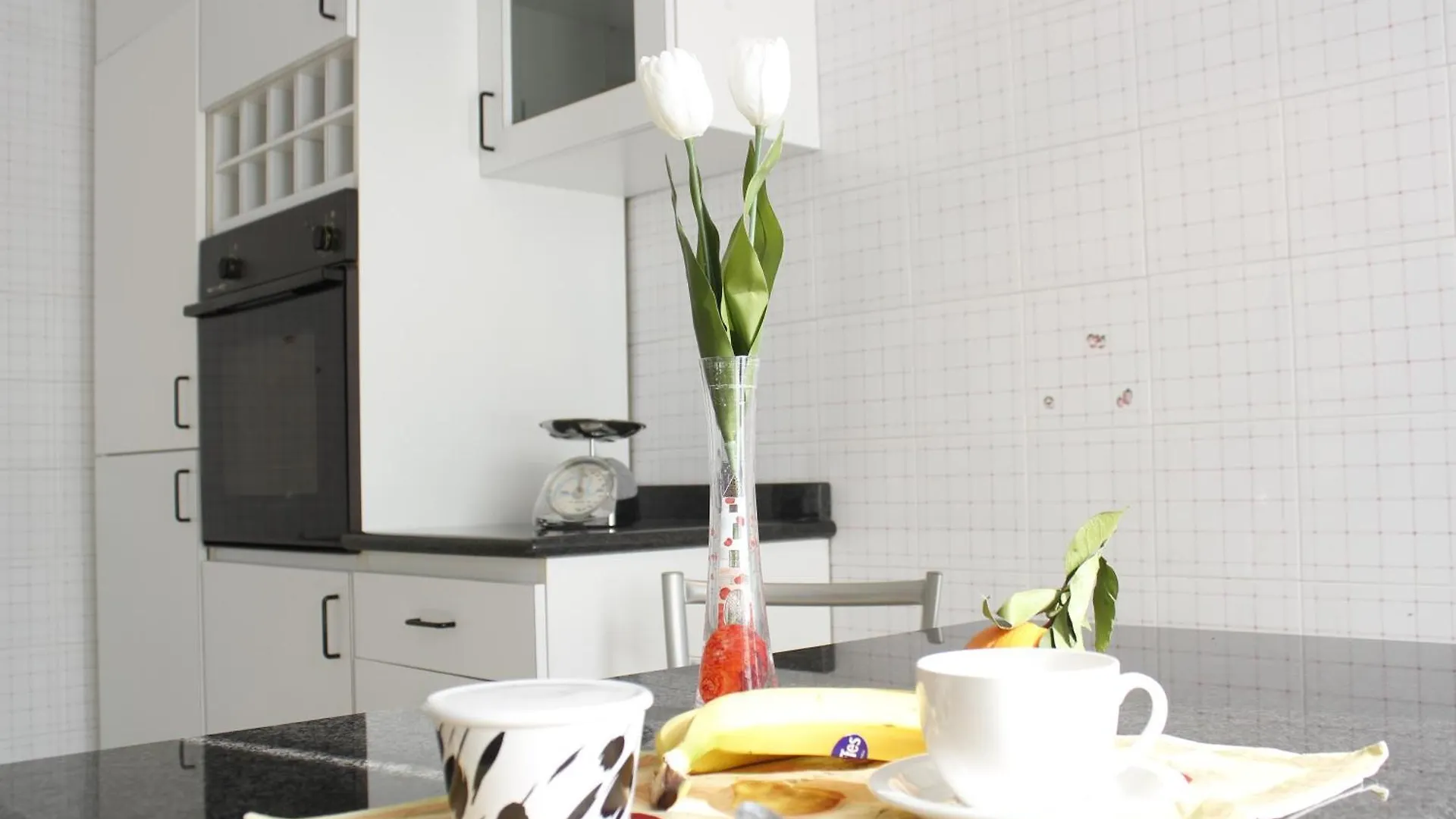 Appartement Milani Paolo